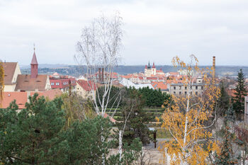 Prodej bytu 3+1 v osobním vlastnictví 77 m², Žatec