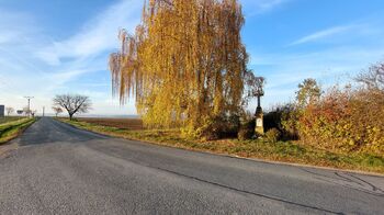 Prodej pozemku 9286 m², Bučovice