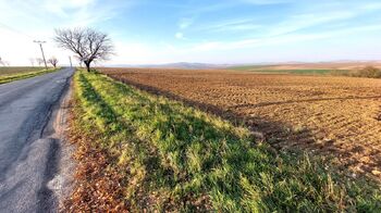 Prodej pozemku 9286 m², Bučovice