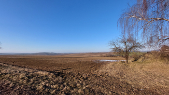 Prodej pozemku 9286 m², Bučovice