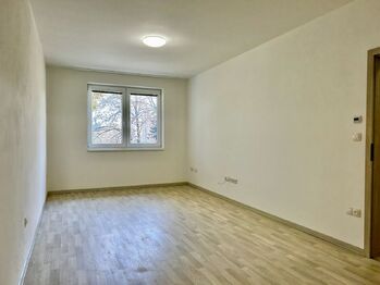 Obývací pokoj - Pronájem bytu 2+kk v osobním vlastnictví 47 m², Pohořelice