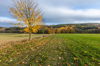 Prodej pozemku 368163 m², Dolní Město