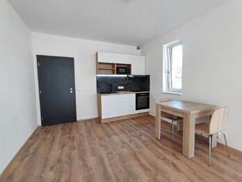 Pronájem bytu 1+kk v osobním vlastnictví 43 m², Vyškov