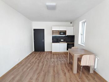 Pronájem bytu 1+kk v osobním vlastnictví 43 m², Vyškov