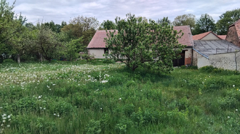 Prodej domu 130 m², Nové Syrovice