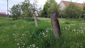 Prodej domu 130 m², Nové Syrovice