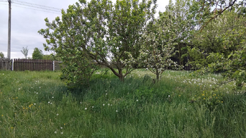 Prodej domu 130 m², Nové Syrovice