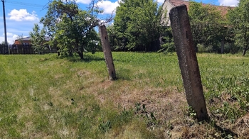 Prodej domu 130 m², Nové Syrovice