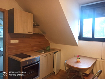 Prodej apartmánu 292 m², Mikulov