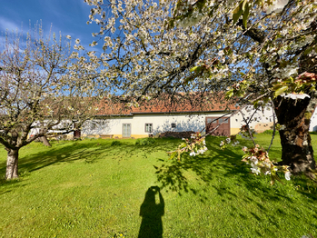 Prodej chaty / chalupy 73 m², Jílovice