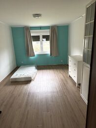 Prodej domu 799 m², Větrný Jeníkov