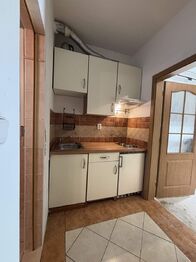 kuchy%nka pohled do pokoje - Prodej bytu 1+kk v osobním vlastnictví 25 m², Praha 9 - Černý Most