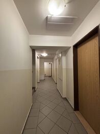 pohled z pokoje do bytu - Prodej bytu 1+kk v osobním vlastnictví 25 m², Praha 9 - Černý Most