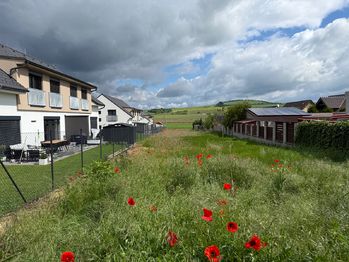 Prodej pozemku 1429 m², Hodějice