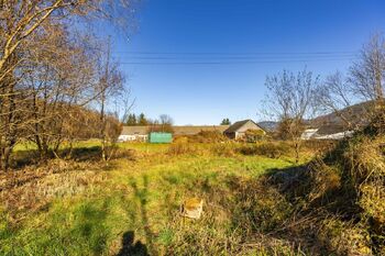 Prodej pozemku 6840 m², Bělá pod Pradědem