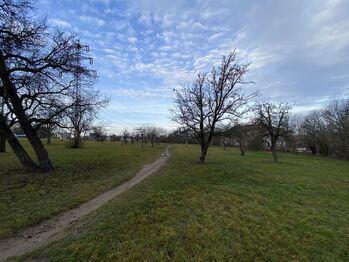 Park před domem - Pronájem bytu 2+1 v osobním vlastnictví 64 m², Praha 4 - Záběhlice