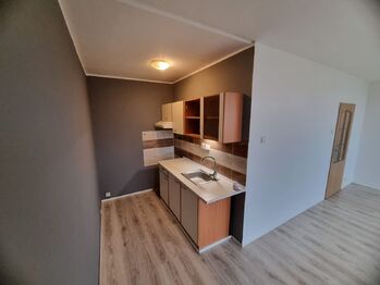 Pronájem bytu 1+kk v družstevním vlastnictví 33 m², Most