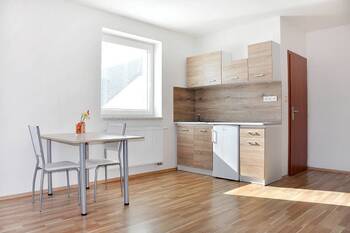 pokoj - Pronájem bytu 1+kk v osobním vlastnictví 32 m², České Budějovice