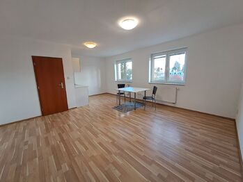 pokoj - Pronájem bytu 1+kk v osobním vlastnictví 32 m², České Budějovice 