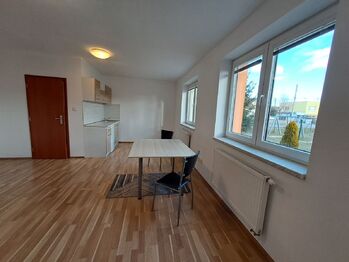 pokoj - Pronájem bytu 1+kk v osobním vlastnictví 32 m², České Budějovice