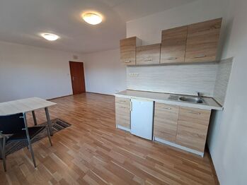 pokoj - Pronájem bytu 1+kk v osobním vlastnictví 32 m², České Budějovice