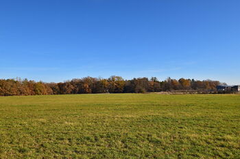 Prodej pozemku 4000 m², Kamenný Újezd