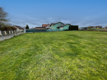 Prodej pozemku 942 m², Lešany