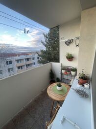 Pronájem bytu 1+1 v osobním vlastnictví 34 m², Kyjov