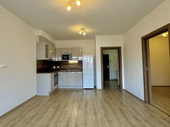 Pronájem bytu 2+kk v osobním vlastnictví 59 m², Plzeň