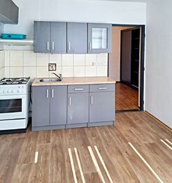 Pronájem bytu 1+1 v osobním vlastnictví 47 m², Česká Lípa