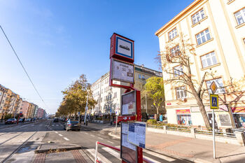 Pronájem bytu 1+1 v osobním vlastnictví 50 m², Praha 3 - Žižkov