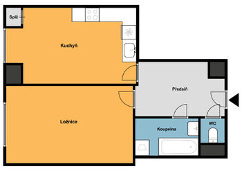 Pronájem bytu 1+1 v osobním vlastnictví 50 m², Praha 3 - Žižkov