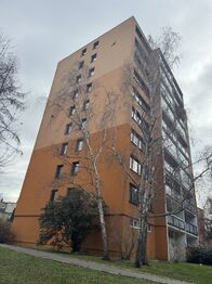 Pronájem bytu 2+1 v osobním vlastnictví 49 m², Praha 3 - Žižkov