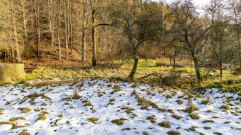 Prodej pozemku 1199 m², Jablonné v Podještědí