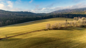 Prodej pozemku 1199 m², Jablonné v Podještědí