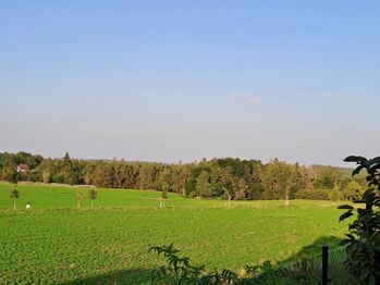 Výhledy na okolní lesy - Prodej domu 106 m², Doubravčice