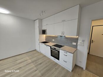 Pronájem bytu 1+kk v osobním vlastnictví 5275 m², Praha 3 - Žižkov