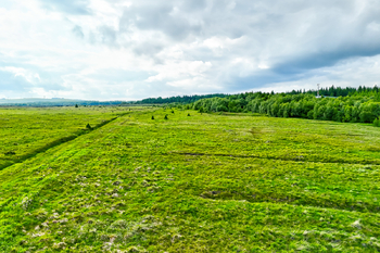 Prodej pozemku 668028 m², Hora Svatého Šebestiána