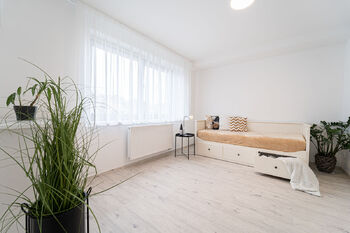 Pronájem bytu 1+kk v osobním vlastnictví 23 m², Brno