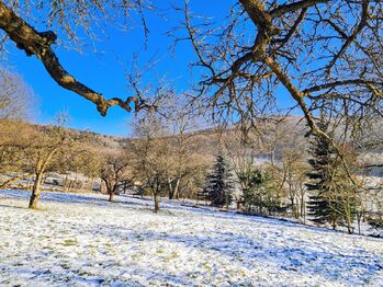 Prodej domu 294 m², Loučná nad Desnou