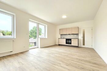 obývací pokoj - Pronájem bytu 2+kk v osobním vlastnictví 57 m², Kutná Hora