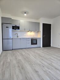 Pronájem bytu 2+kk v osobním vlastnictví 53 m², Praha 10 - Dolní Měcholupy