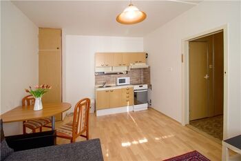 Pronájem bytu 1+1 v osobním vlastnictví 42 m², Tábor