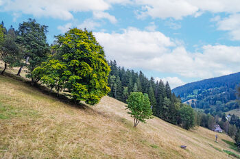 Prodej ubytovacího zařízení 560 m², Pec pod Sněžkou