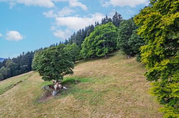 Prodej ubytovacího zařízení 560 m², Pec pod Sněžkou