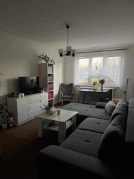 Pronájem bytu 3+1 v družstevním vlastnictví 61 m², Nová Cerekev