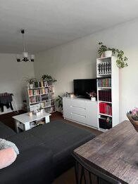 Pronájem bytu 3+1 v družstevním vlastnictví 61 m², Nová Cerekev