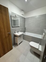 Pronájem bytu 1+kk v družstevním vlastnictví 40 m², Liberec