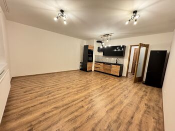 Pronájem bytu 1+kk v družstevním vlastnictví 40 m², Liberec