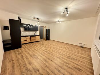 Pronájem bytu 1+kk v družstevním vlastnictví 40 m², Liberec